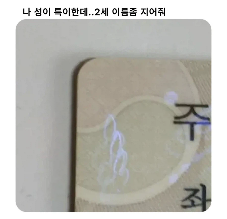 나 성이 특이한데…2세 이름 좀 지어줘