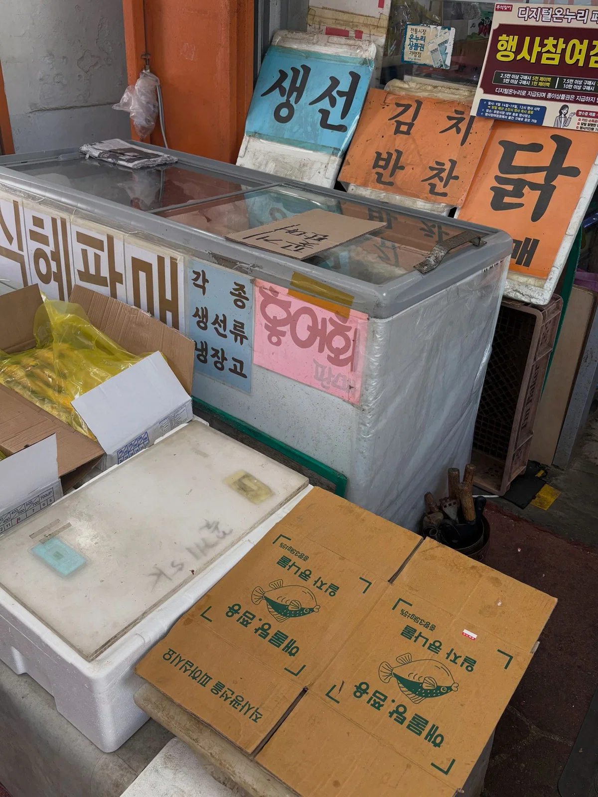 외국인들이 좋아하는 한국 감성샷 (4)