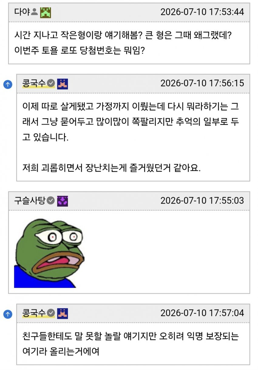 형에게 장난감 취급 당했다는 남동생들 (19)