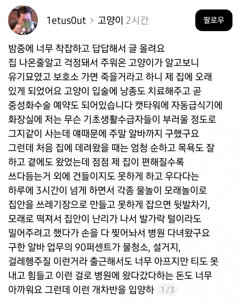 길고양이 주우면 안되는 이유