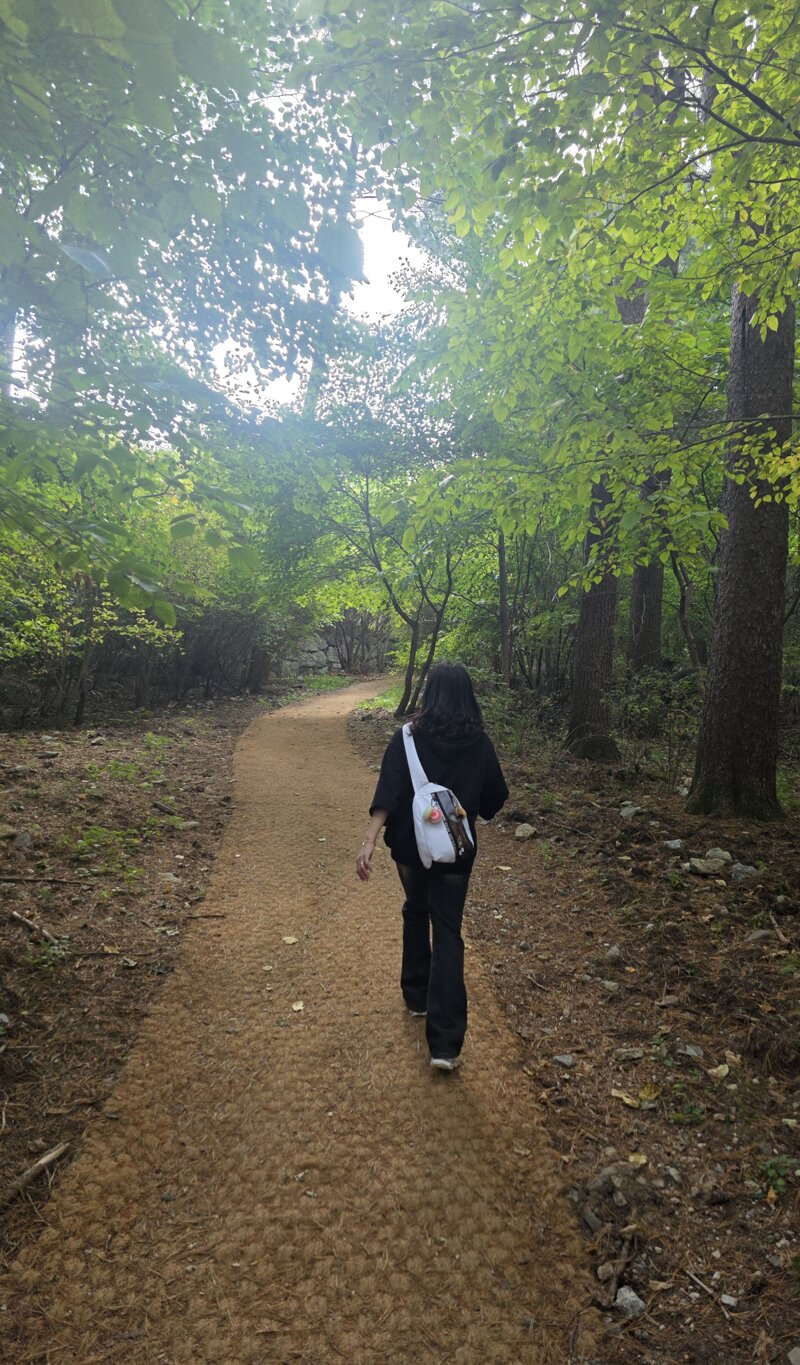 도토리에 이어 다람쥐 많이 볼수있는곳 (10)