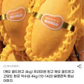태국 골드망고 4kg 8-12과
