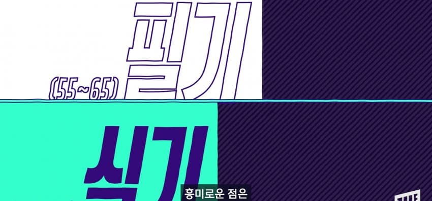 기능사 자격증 1위, 지게차 자격증... 왜 이렇게 인기? (33)