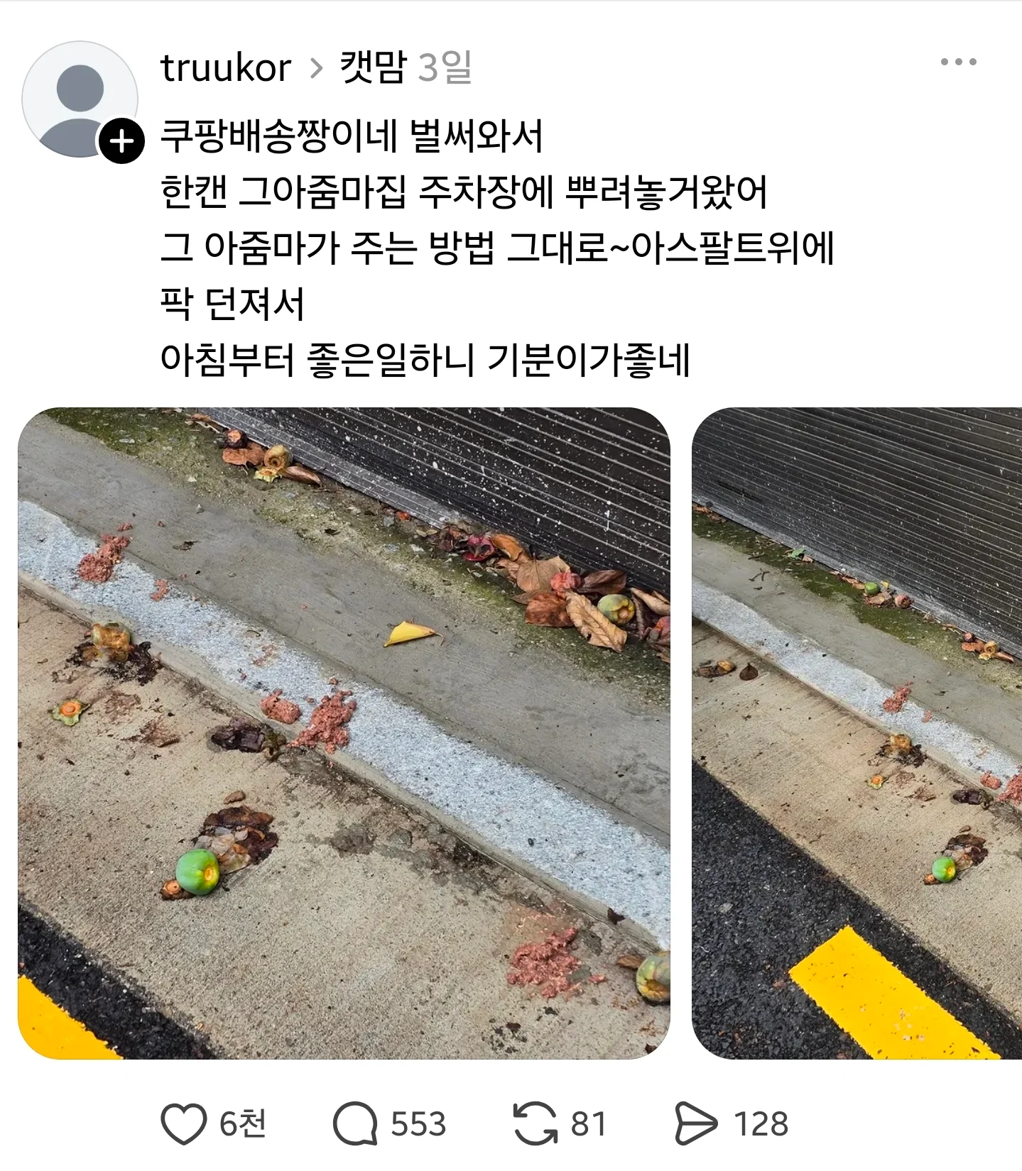 미친놈은 개미친놈처럼 상대해야함 (2)