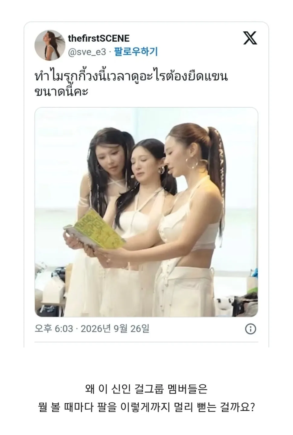 해외 트위터인이 가진 의문점