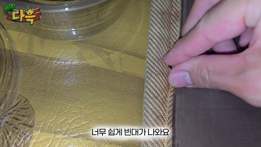 오싹오싹 부산 찜질방에 출몰해서 난리난 빈대(베드버그)상황 (14)