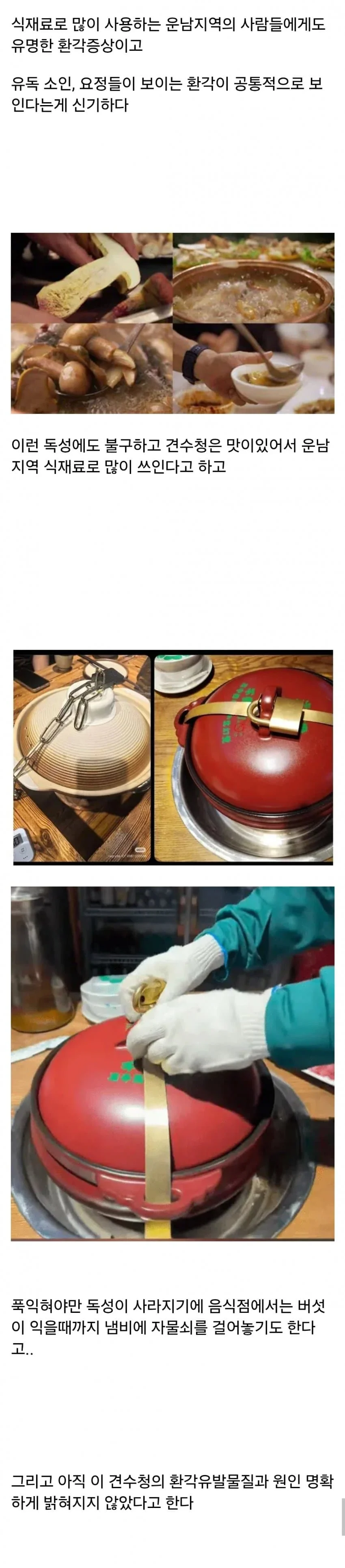 먹으면 이상한 환각이 보이는 독버섯.. (3)