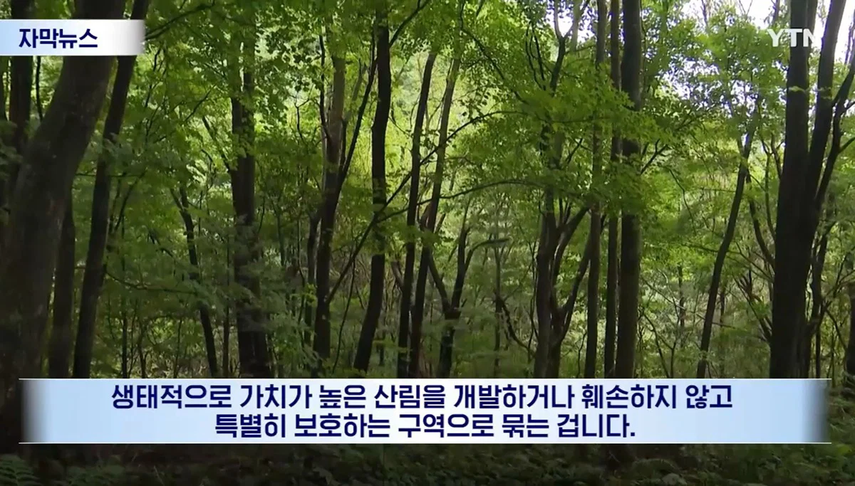 수십억 들여 숲 사놓고 아무것도 안한 이유 (13)