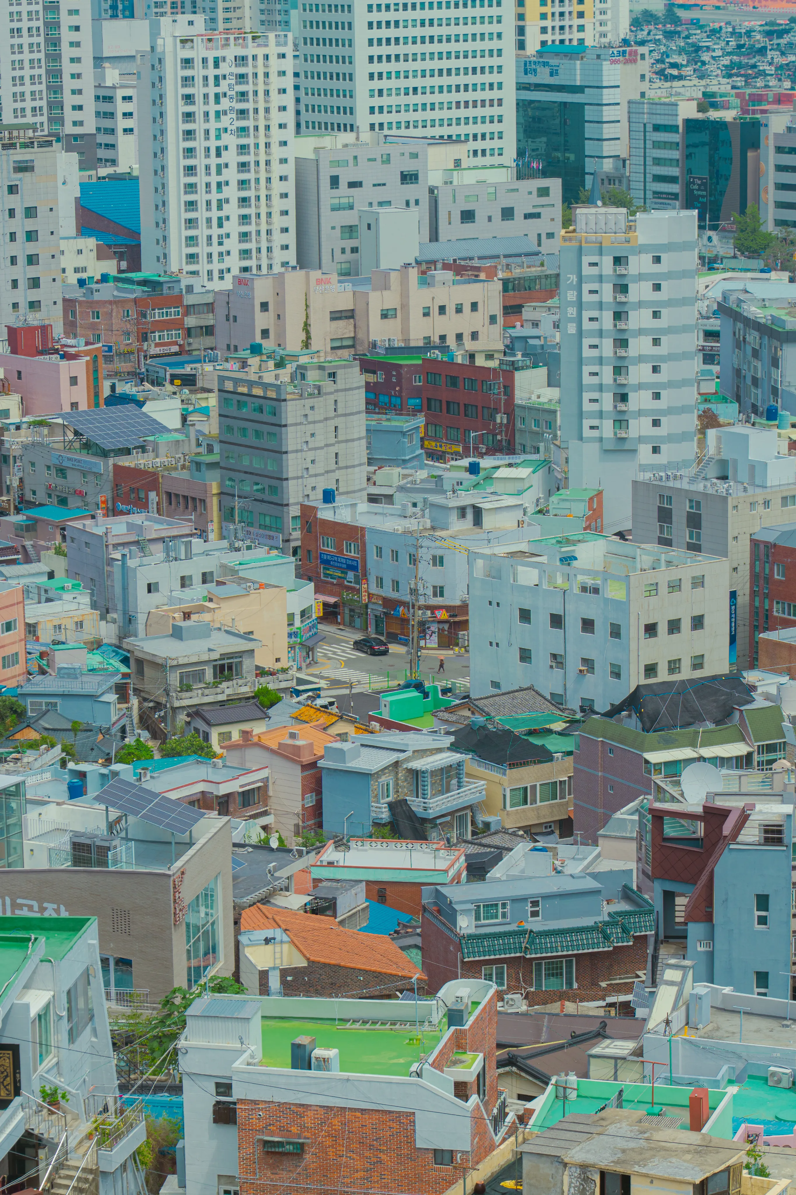 이거 부산 왜 이럼?? (6)