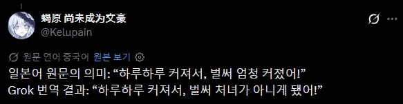 하루아침만에 쥐박이가 되어버린 일본인.twit (2)