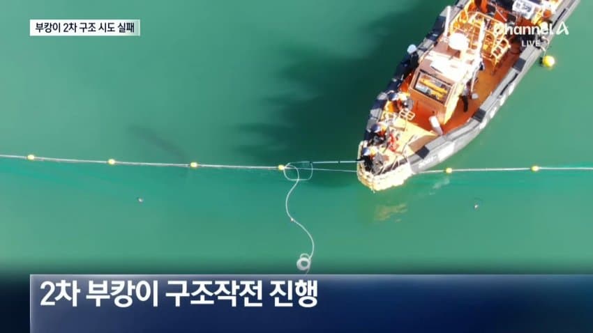 상어 부캉이 구조작업 또 실패…바다 앞서 멈췄다 (20)