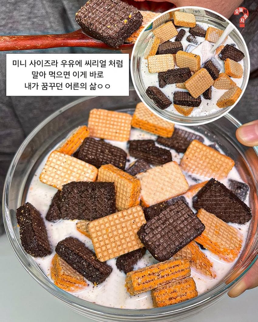 좋은 거 들고 왔습니다. 10월 2주차 주간신상 (25)