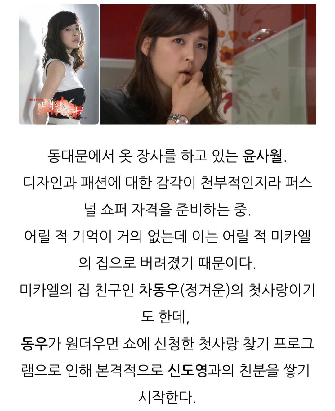 도대체 <태양의 여자>가 뭐길래 지금 방송하면 핫게행이냐...? 궁금해서 물어보는 덬들의 위해 (15)