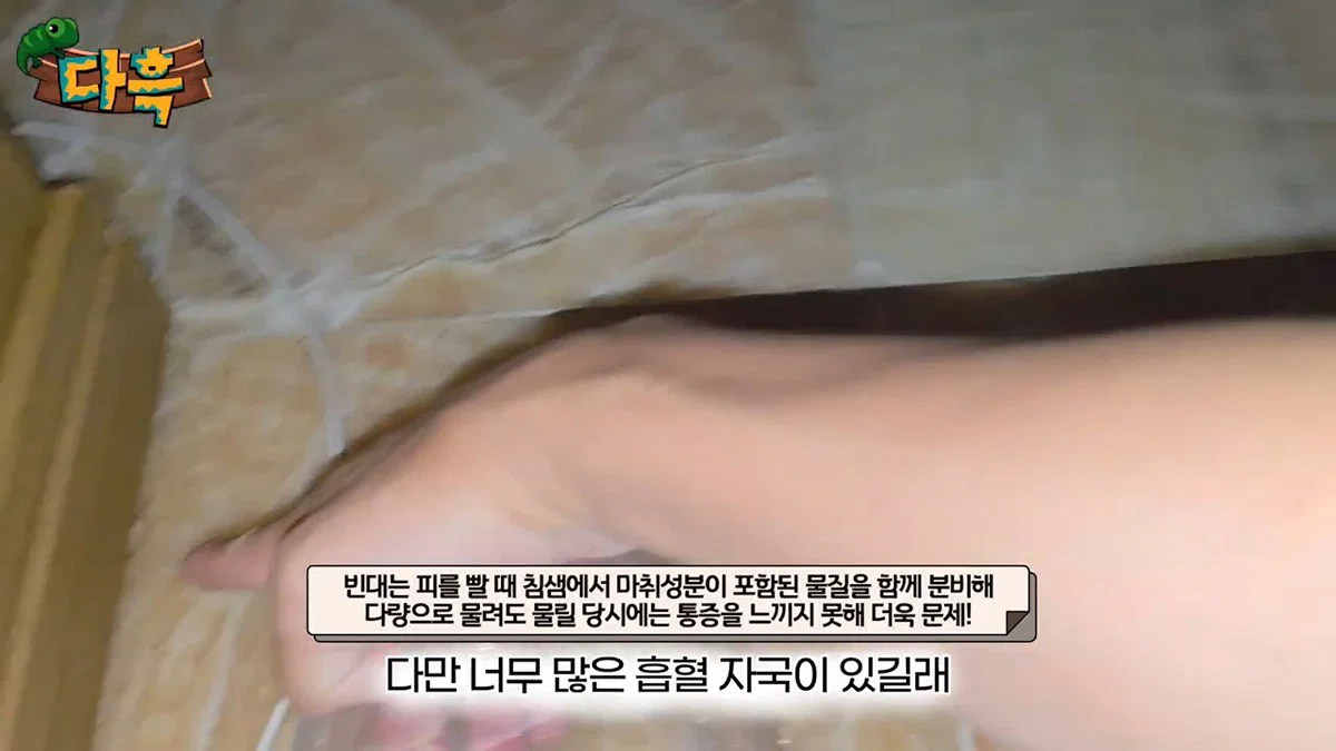 부산 찜질방 빈대 이슈 업로드한 유튜버 다흑... (30)