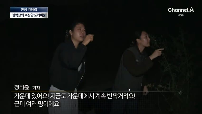 채널a) 송이버섯 1kg에 160만원...밤낮 추격전 (8)