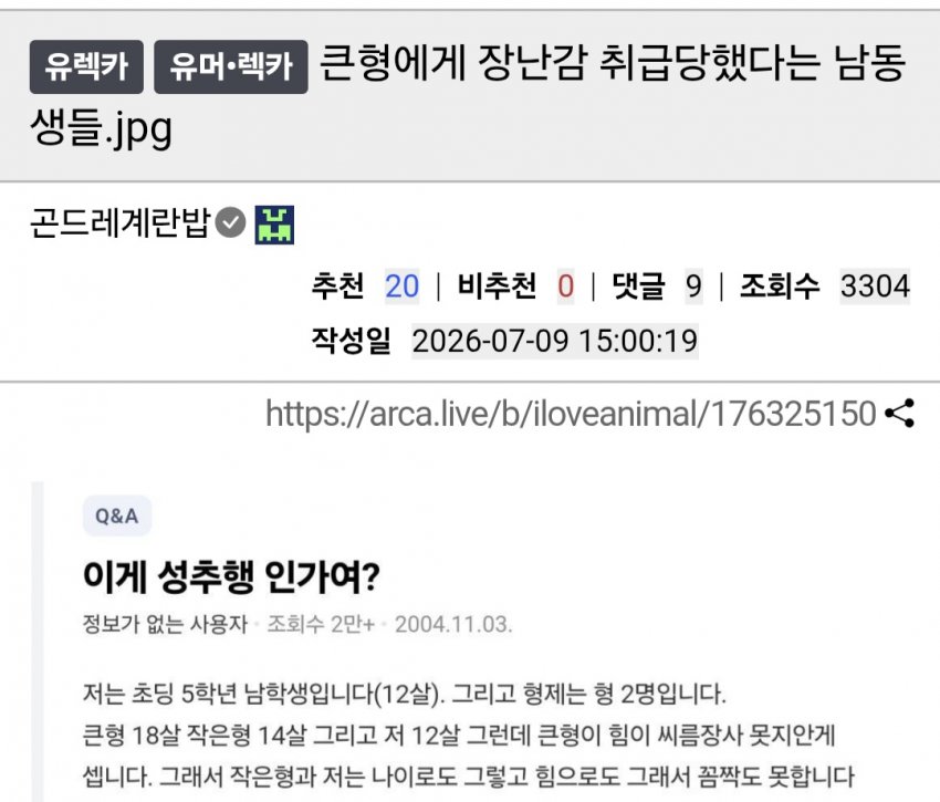 형에게 장난감 취급 당했다는 남동생들 (13)