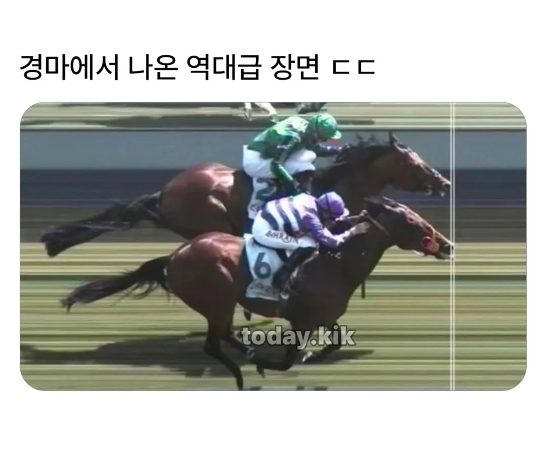 경마에서 나온 역대급 장면