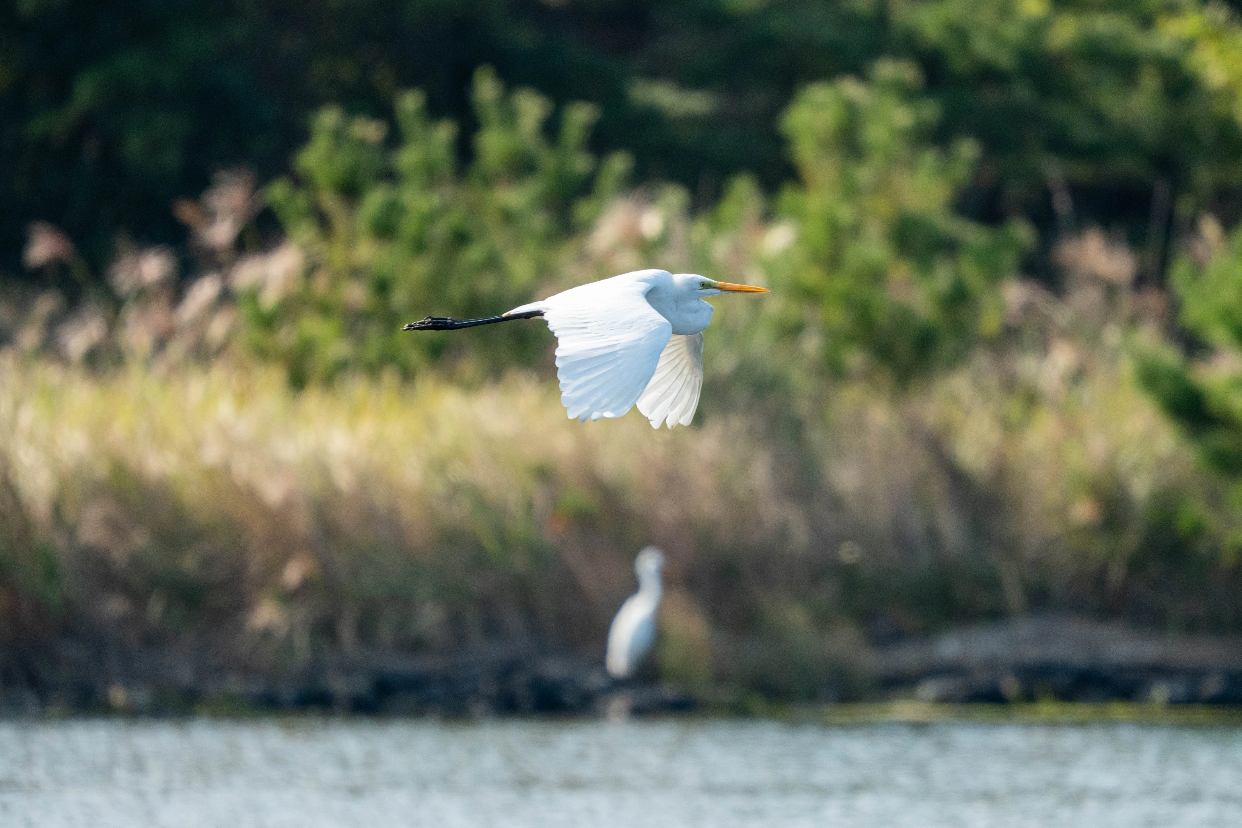 500mm 광각새찍 투척 (2)