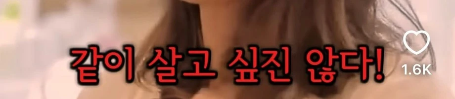 배우자 혹은 내가 바람날때 이효리 대처법