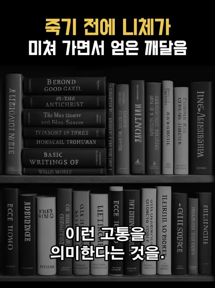 ㅂㅅㅂㅅ 니체가 죽기 직전에 미친 이유 (12)