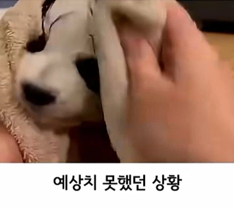유튜브 쇼츠 AI 뇌절 대잔치 (5)