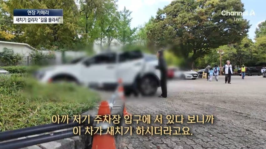 채널a) 차 머리부터 '쑥'..야구장 앞 얌체들 (8)