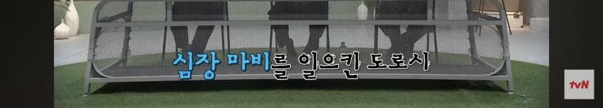 싱글벙글 심장 통증으로 비행기에서 쓰러졌는데 심장 전문의 15명이 타고 (5)