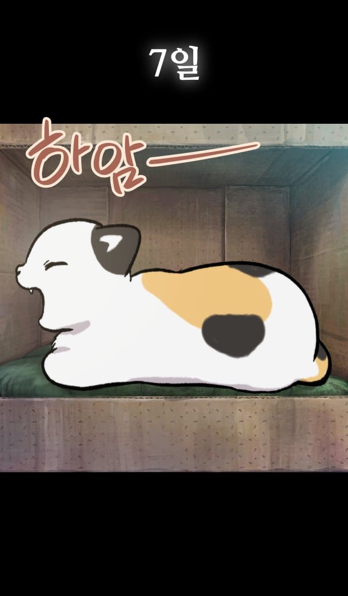고양이 찬양 하는 만화 (16)
