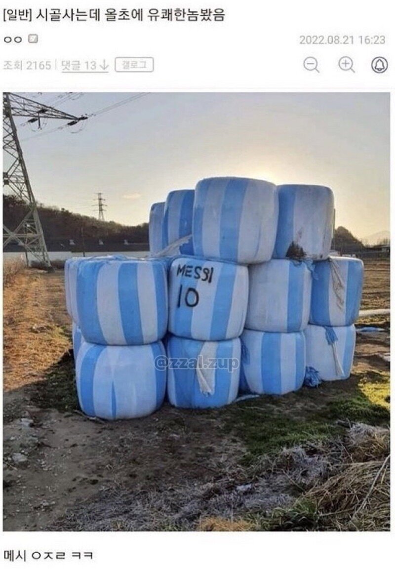 14.jpg