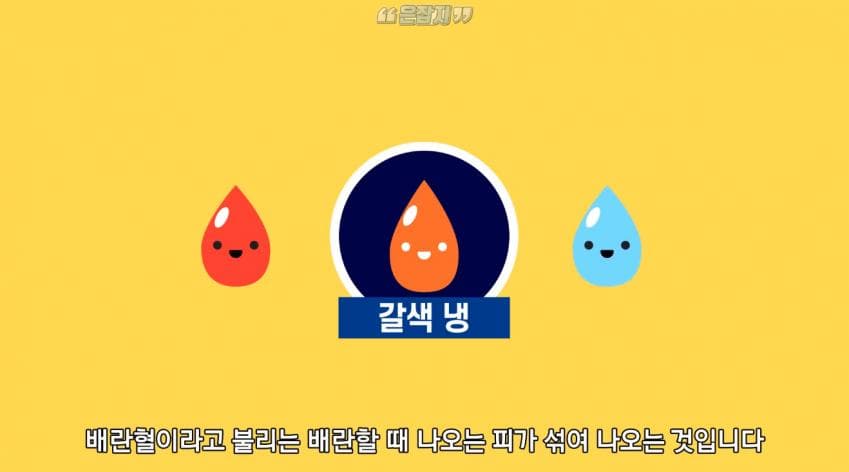 남자들은 잘 모르는 냉 이라는 것에 대하여 (37)