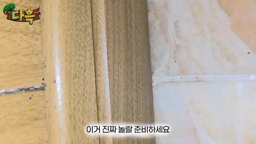 오싹오싹 부산 찜질방에 출몰해서 난리난 빈대(베드버그)상황 (15)
