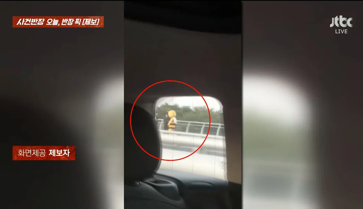 사건반장에 나온 꿀벌 복장 입는 이유