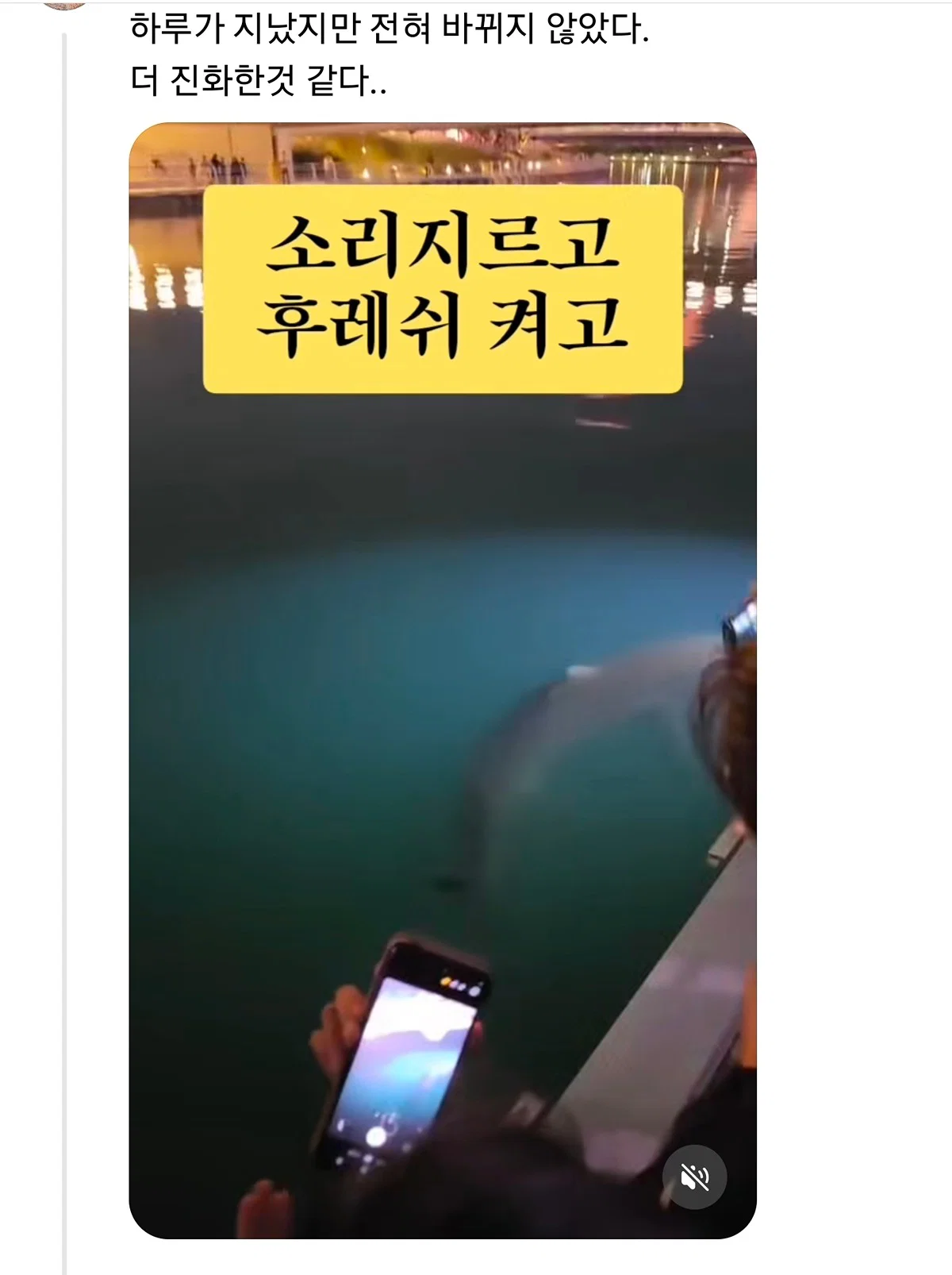 부산 상어 부캉이의 인기가 높아지면서 나타나는...... (3)