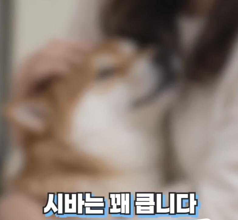 처제의 시바를 뒤지게 팼습니다 (24)