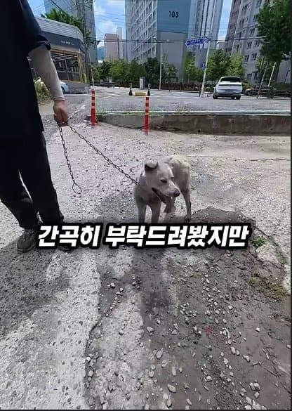 평생 목욕 한번 안 해본 차고지 지킴이 2살 한성이의 생애 첫 목욕대작전 (34)