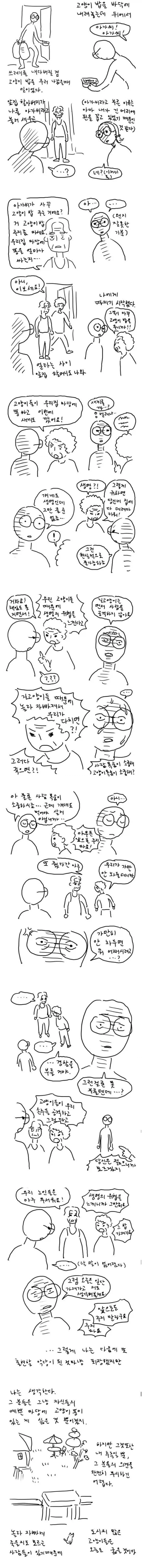 캣맘 웹툰 레전드