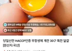 당일산란 HACCP인증 무항생제 계란 30구 특란