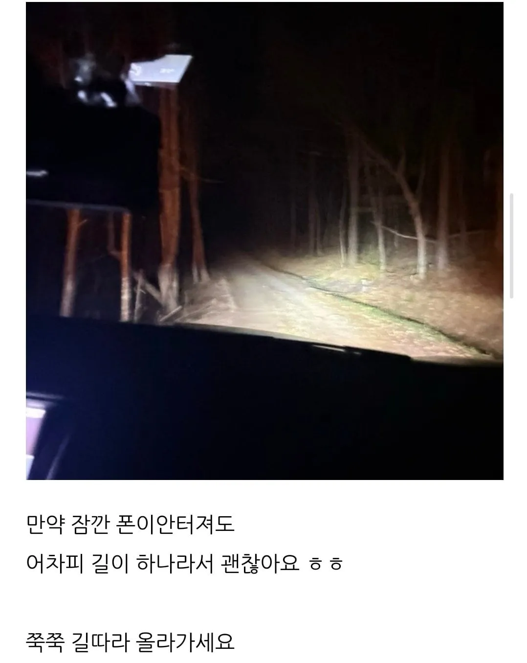 요즘 핫플레이스 살목지 찐광기의 후기 ㄷㄷㄷ;;;