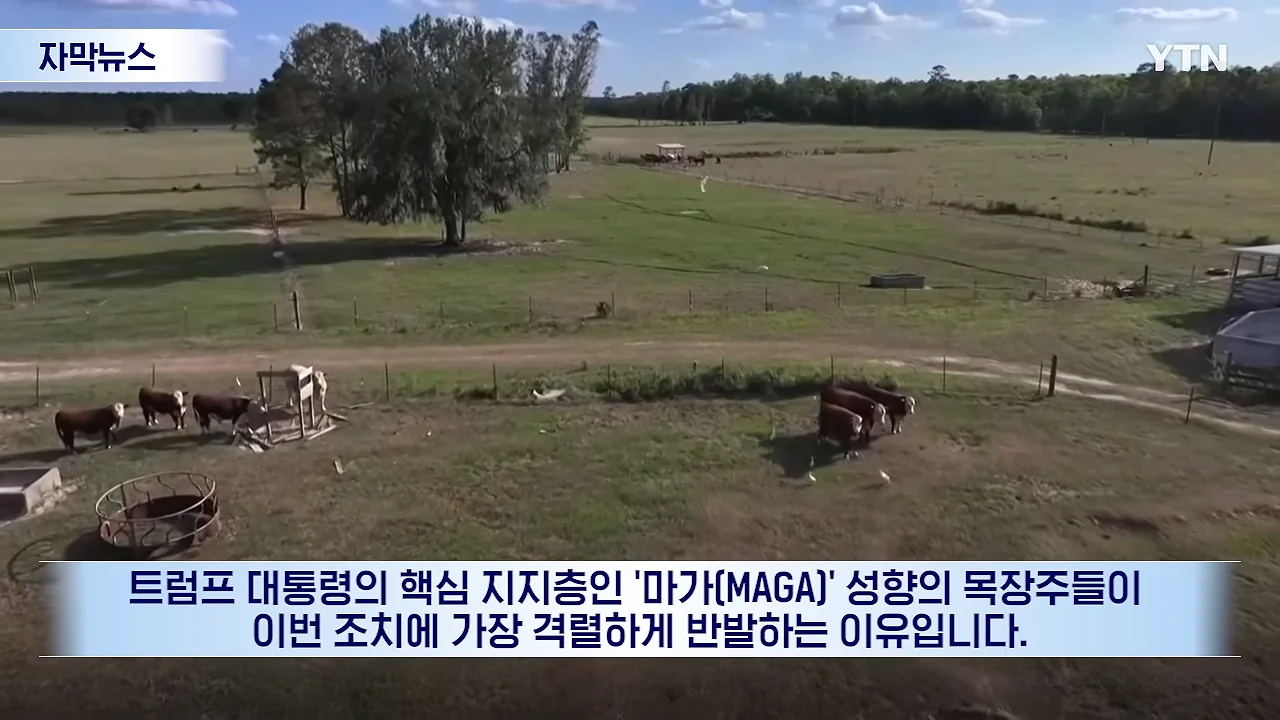 연준마저 우려하는 트럼프의 폭주.선거 앞두고 민심은 '사형선고' [자막뉴스] _ YTN 0-37 screenshot.png