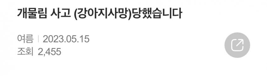 안싱글벙글 개물림 사고(강아지사망) 당했습니다