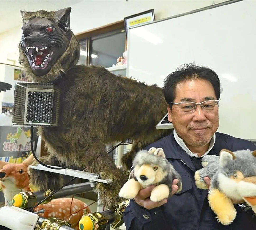 일본에서 곰 출현 급등하자 로봇 늑대 등장