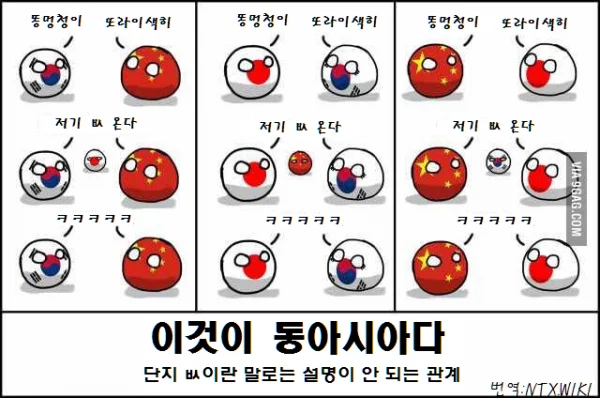지들이 세트메뉴인건 아는 새끼들 (5)