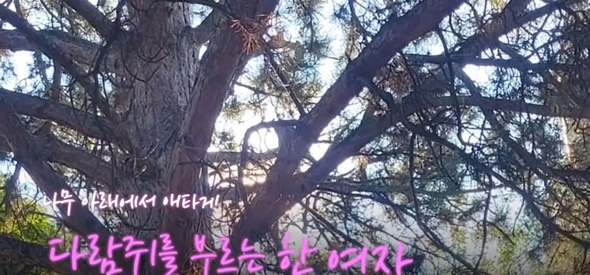 어미 다람쥐에게 갈곳 잃은 새끼 보여줬더니..