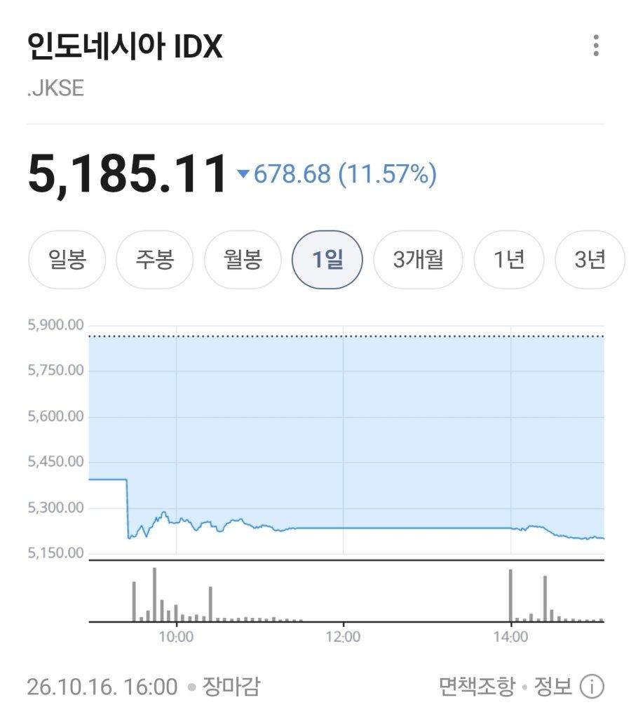 경제 폭망한 인도네시아 (3)