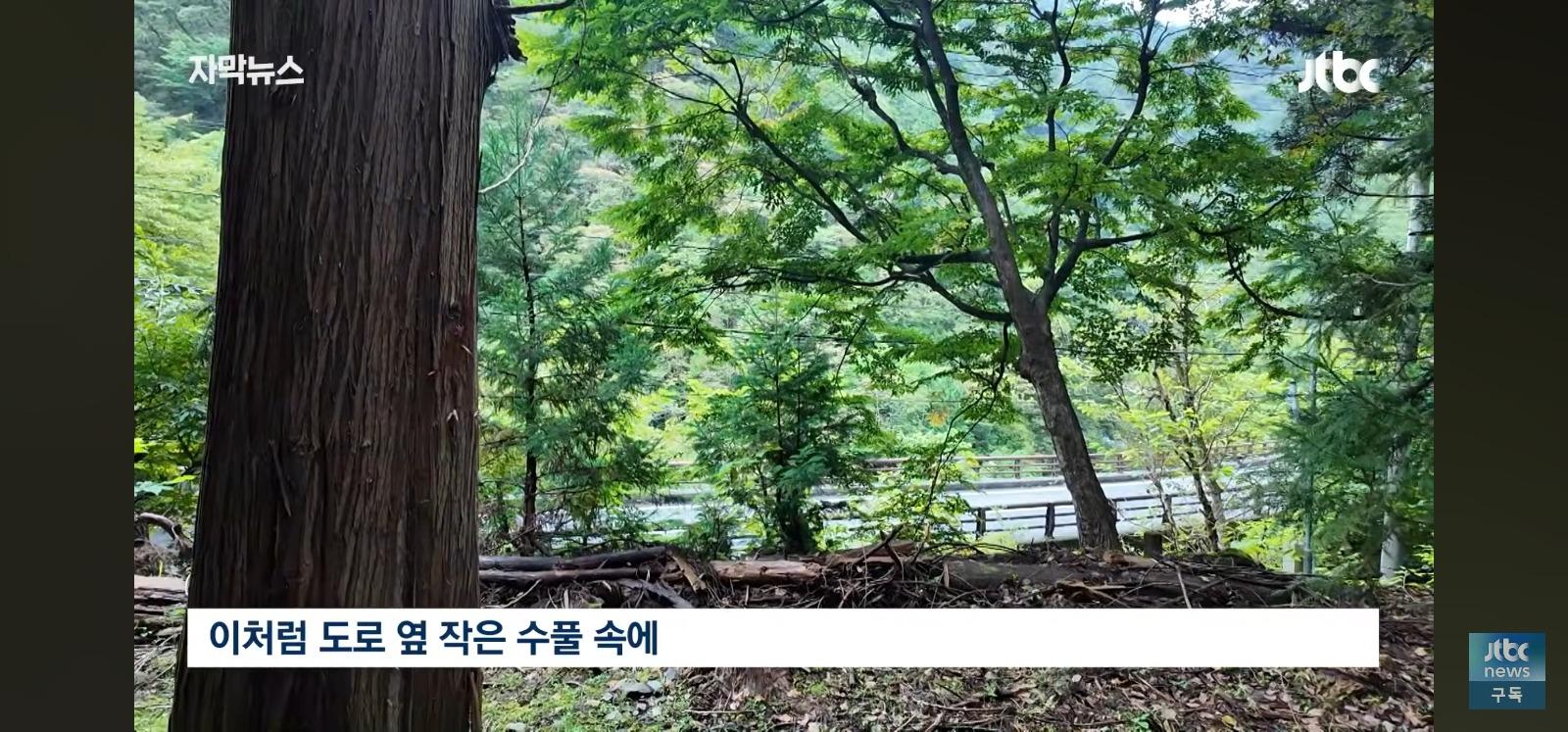 왼쪽은 한국 오른쪽은 중국.... (12)