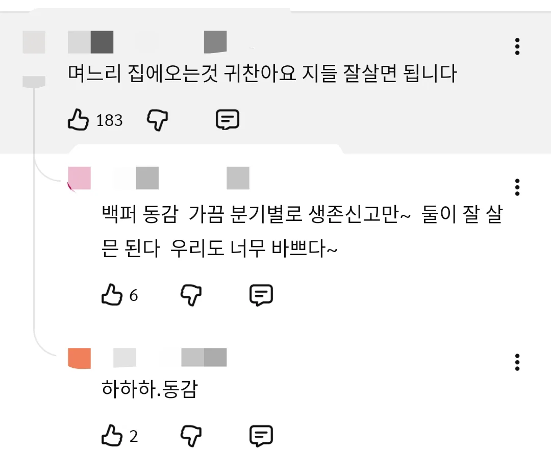 PTjseo