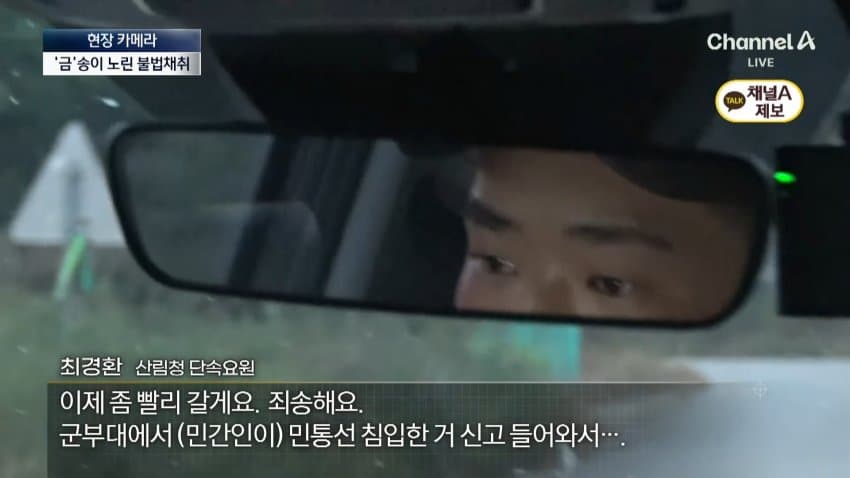 채널a) 송이버섯 1kg에 160만원...밤낮 추격전 (25)
