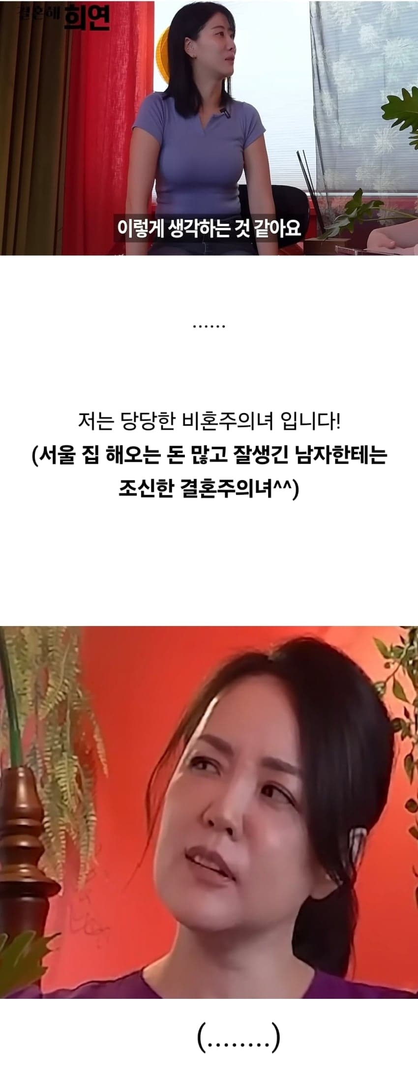 요즘 비혼녀들의 기괴한 속내 (13)