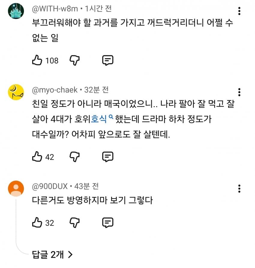 하영, 친일 의혹 여파로 넷플릭스 새 시즌 하차 (21)