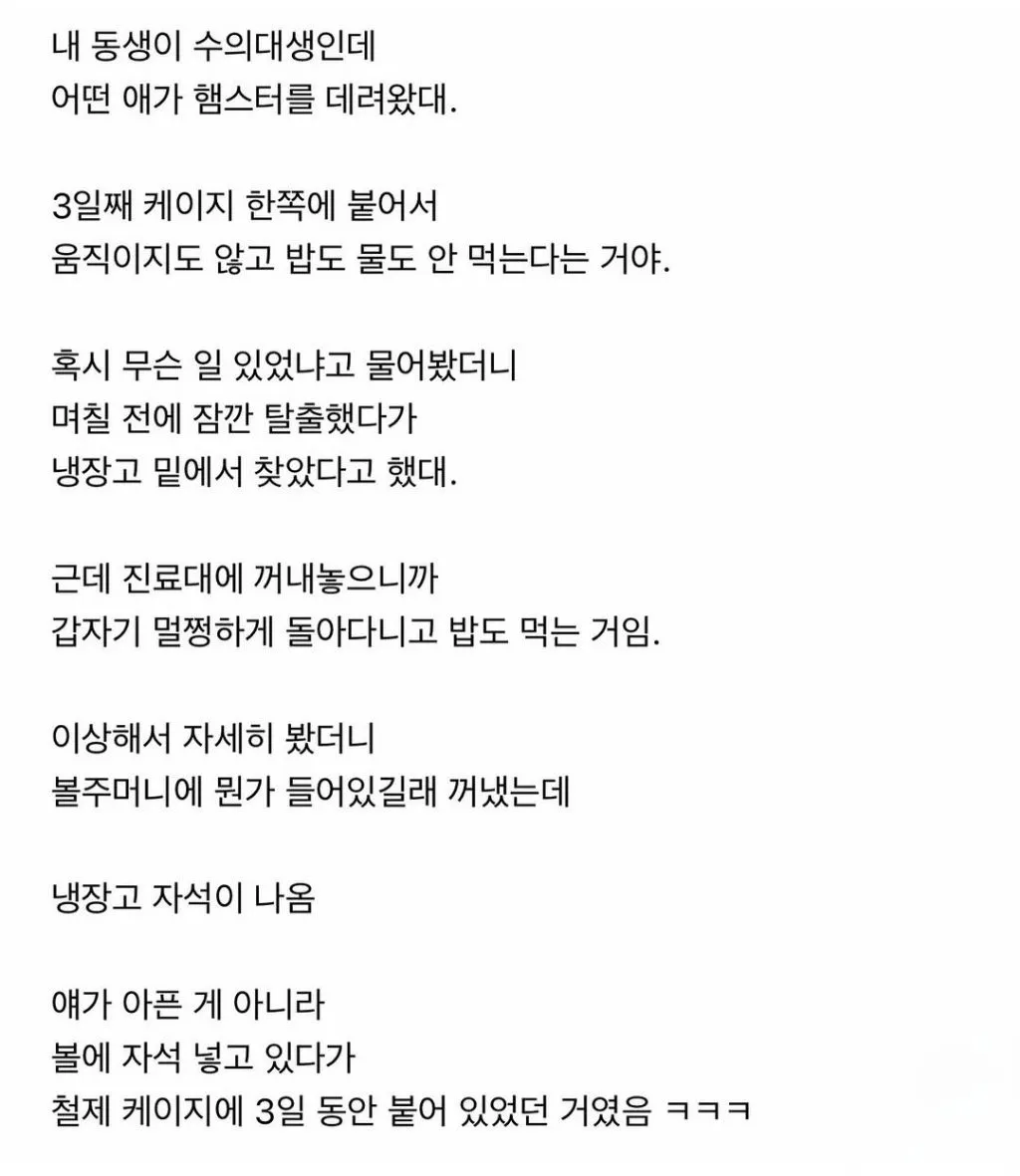 내 동생이 수의대생인데 어떤 애가 햄스터를 데려왔대